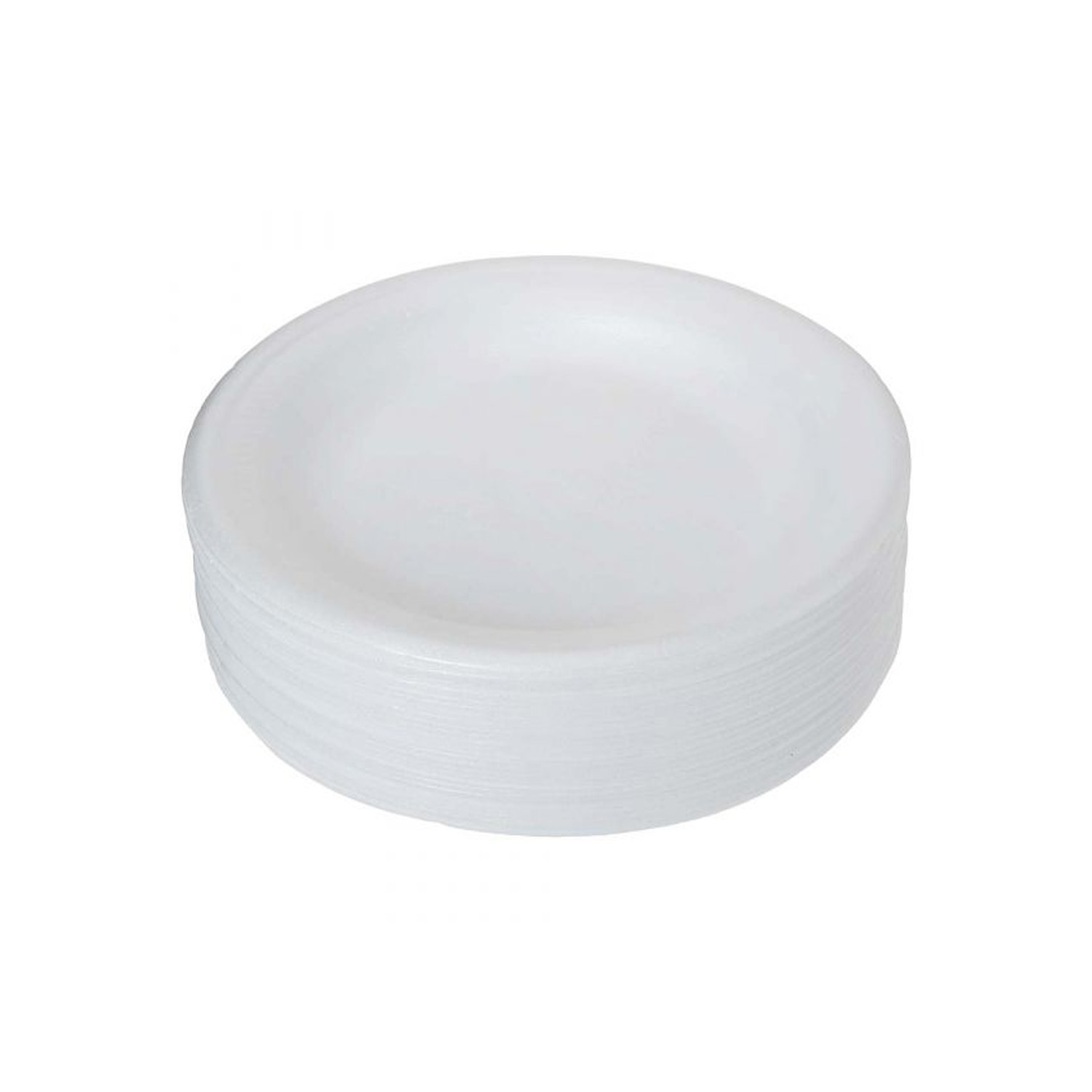 Foam Plate  10 Inches 500 peices